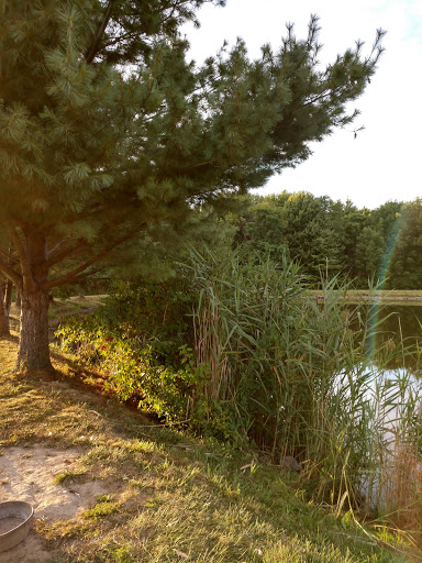 Winery «Hartford Hill Winery», reviews and photos, 3864 Bushnell Campbell Rd, Fowler, OH 44418, USA