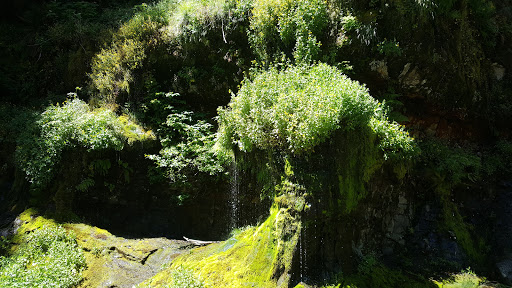 Monument «Mount St. Helens National Volcanic Monument Headquarters», reviews and photos, 42218 NE Yale Bridge Rd, Amboy, WA 98601, USA