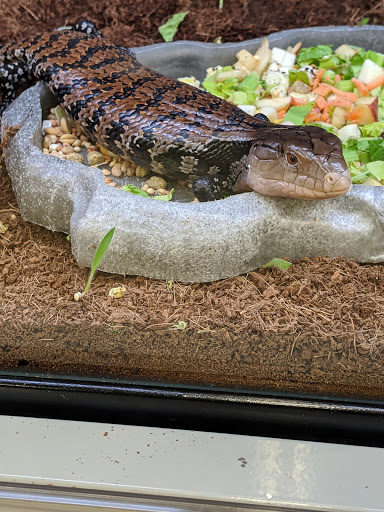 Pet Supply Store «Petco Animal Supplies», reviews and photos, 1419 Towne Square Blvd NW, Roanoke, VA 24019, USA