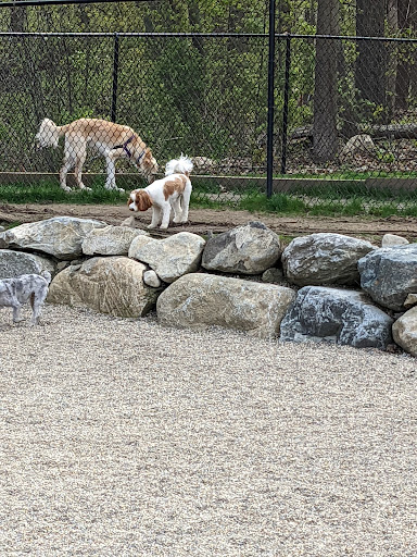 Dog Park «Danvers Dog Park», reviews and photos, 29 Ingersoll St, Danvers, MA 01923, USA