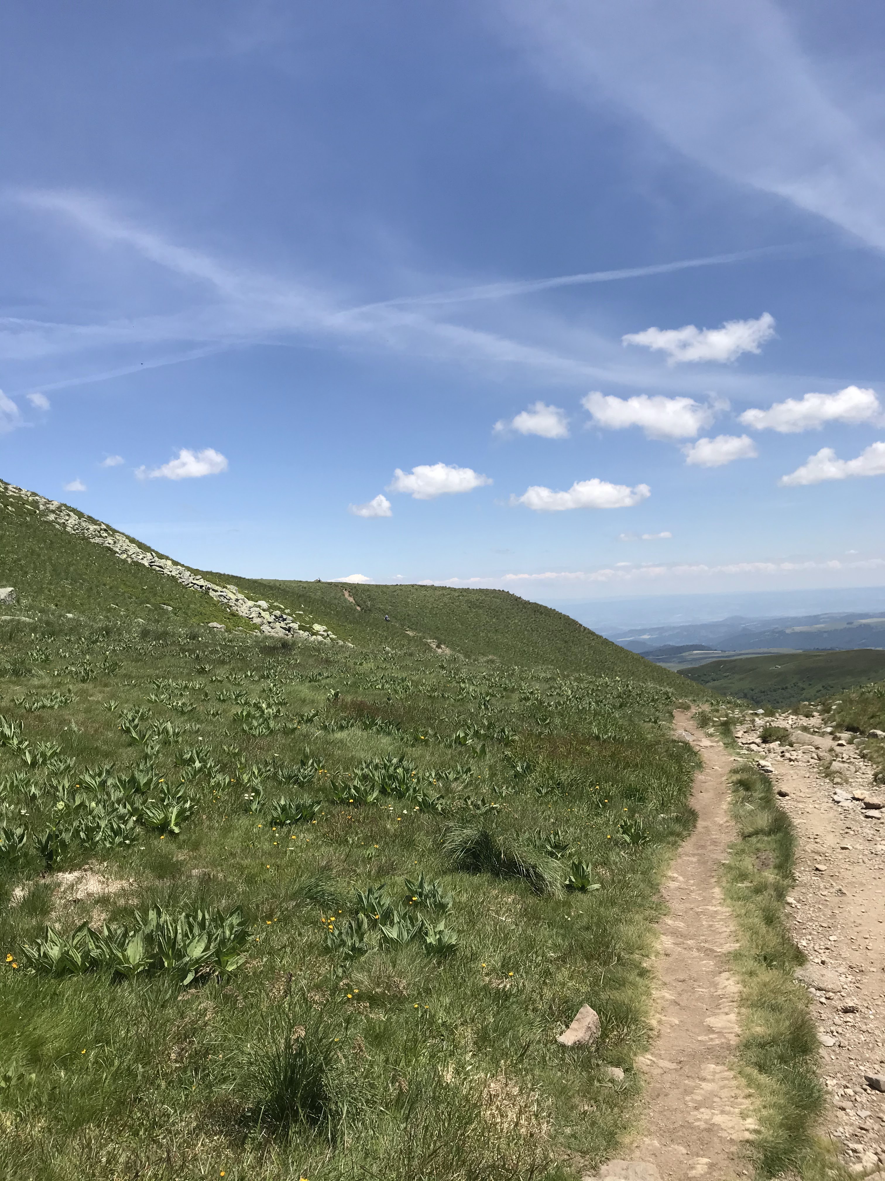 Photo n° 30 de l'avis de axel.l fait le 24/06/2020 à 15:56