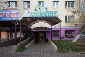 Lyubimchik image