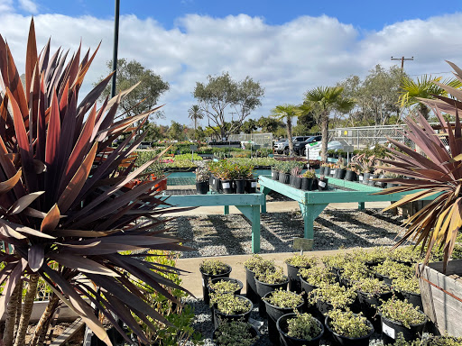 Terra Bella Nursery, Inc. image
