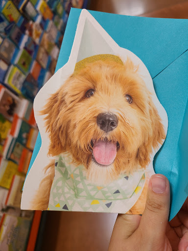 Shopping Mall «Park Place Shopping Center», reviews and photos, 1365 N Rand Rd, Palatine, IL 60074, USA