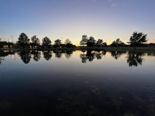 Park «Harold Bacchus Community Park», reviews and photos, 13995 Main St, Frisco, TX 75034, USA