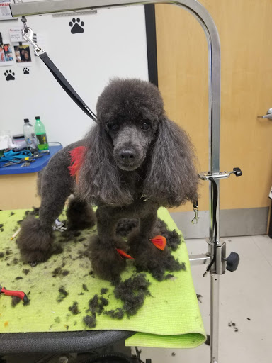 Pet Store «Petsense Enterprise», reviews and photos, 621 Boll Weevil Cir, Enterprise, AL 36330, USA