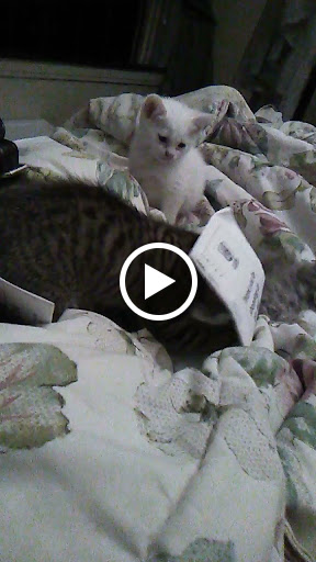 Liquor Store «Super Liquor IV», reviews and photos, 4430 W Ashlan Ave, Fresno, CA 93722, USA