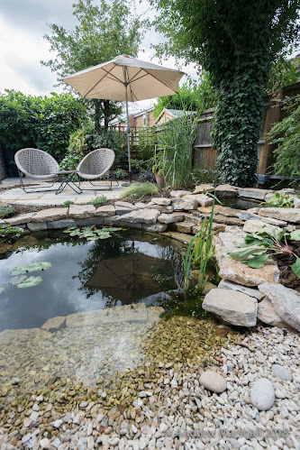 Comments and reviews of Go Wild Landscapes Ltd