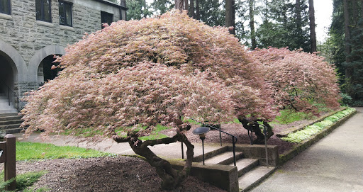 Park «Rocky Butte Park», reviews and photos, NE Rocky Butte Rd, Portland, OR 97220, USA