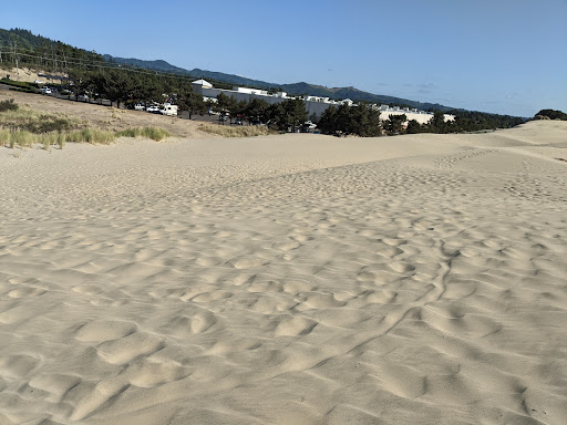 Recreation Center «Sand Master Park - Sandboarding», reviews and photos, 5351 US-101, Florence, OR 97439, USA