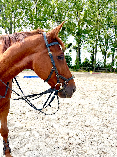 Stables Cd à Fleurines, Oise