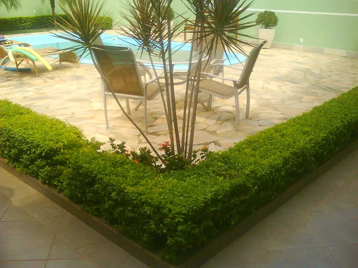 Logo da empresa - Jardinagem, Poda e Plantio