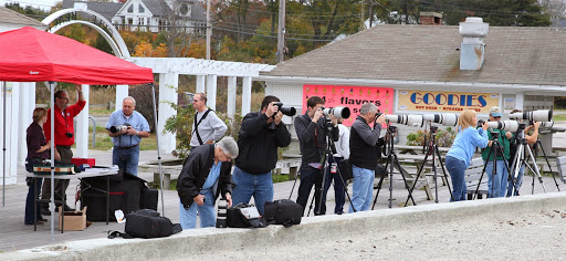 Camera Store «Milford Photo», reviews and photos, 22 River St, Milford, CT 06460, USA