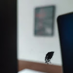 Photo n°10 de l'avis de SV.5 fait le 11/09/2022 à 08:03 sur le  Queens Park Hotel à Berlin