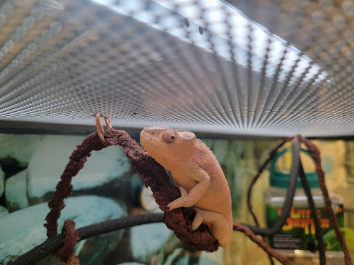 Pet Supply Store «Petco Animal Supplies», reviews and photos, 1350 S Ironton St #120, Aurora, CO 80012, USA