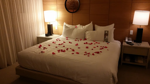 Hotel «21c Museum Hotel Cincinnati», reviews and photos, 609 Walnut St, Cincinnati, OH 45202, USA