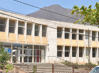 Liceo José Manuel Borgoño Núñez