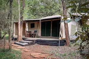 Nairobi Tented Camp image