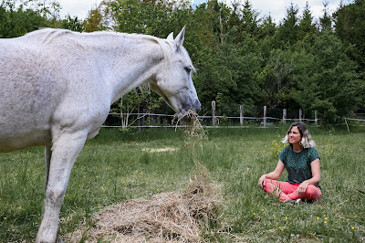Synergies d'Epona - Isabelle Lefebvre à Raissac-d'Aude