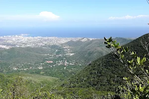 Cerro El Copey National Park image