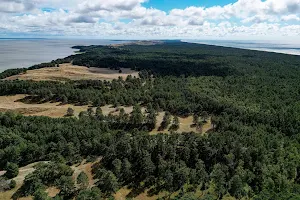 Avikalnis Observation Deck image