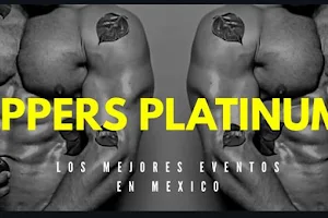 Stripers platinum vip image