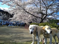 西船迫四号公園