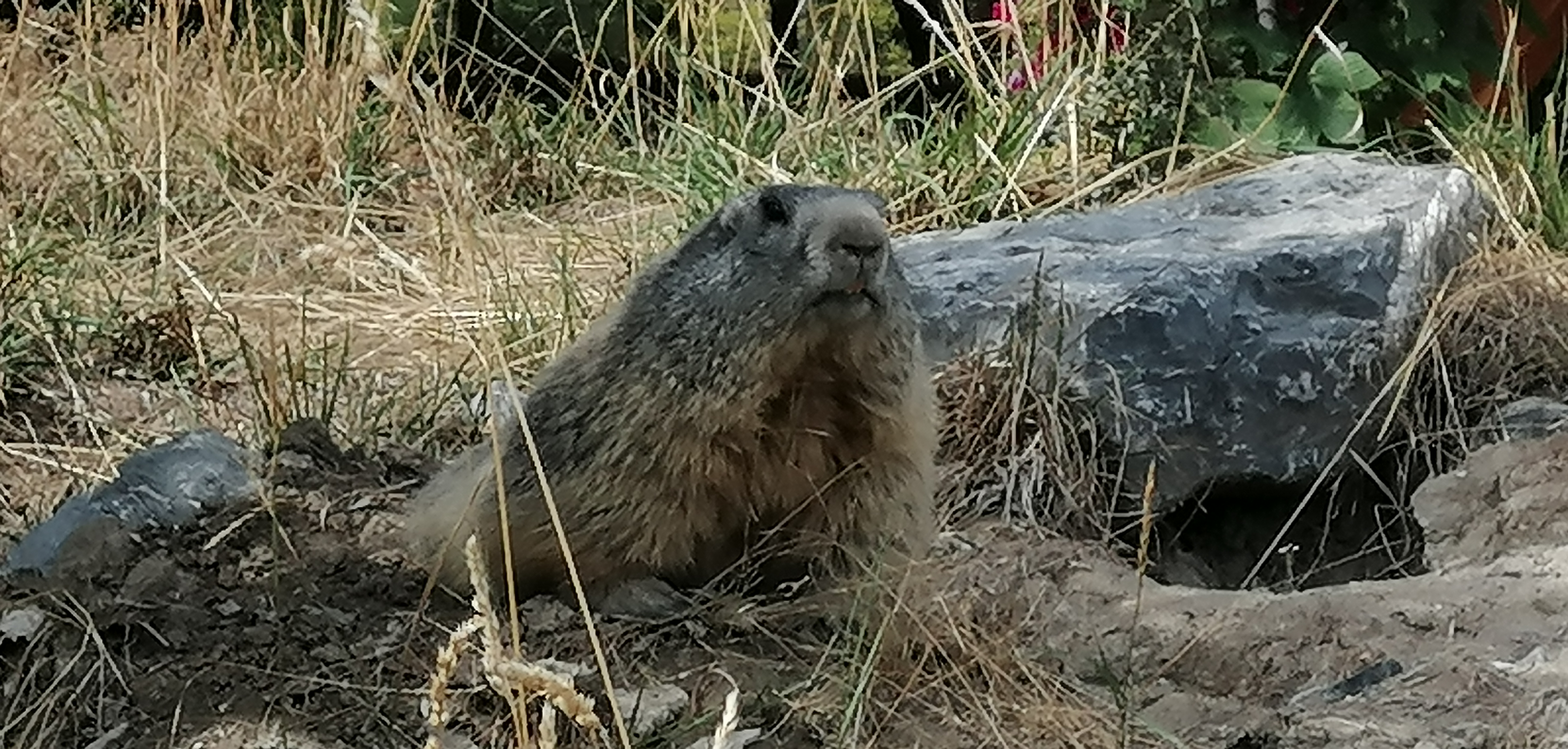 Photo n° 3 de l'avis de Jean.i fait le 08/09/2022 à 17:10