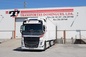 Transportes Domingues, Transportadora Rodoviária Moderna De Pombal, Lda.