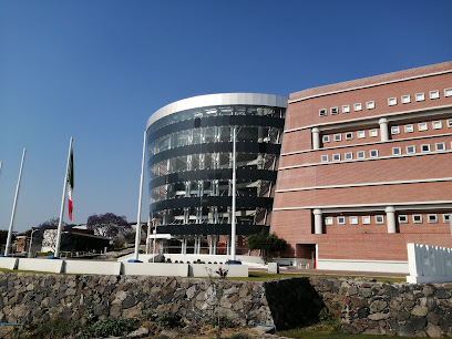 Universidad de La Ciénega del Estado de Michoacán de Ocampo. (UCEMICH)