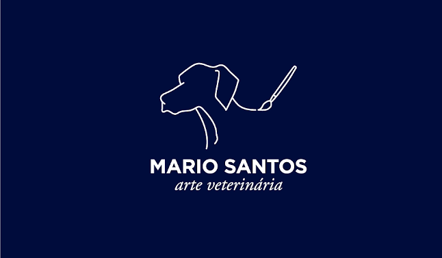 Mario Santos,Arte Veterinaria - Veterinário