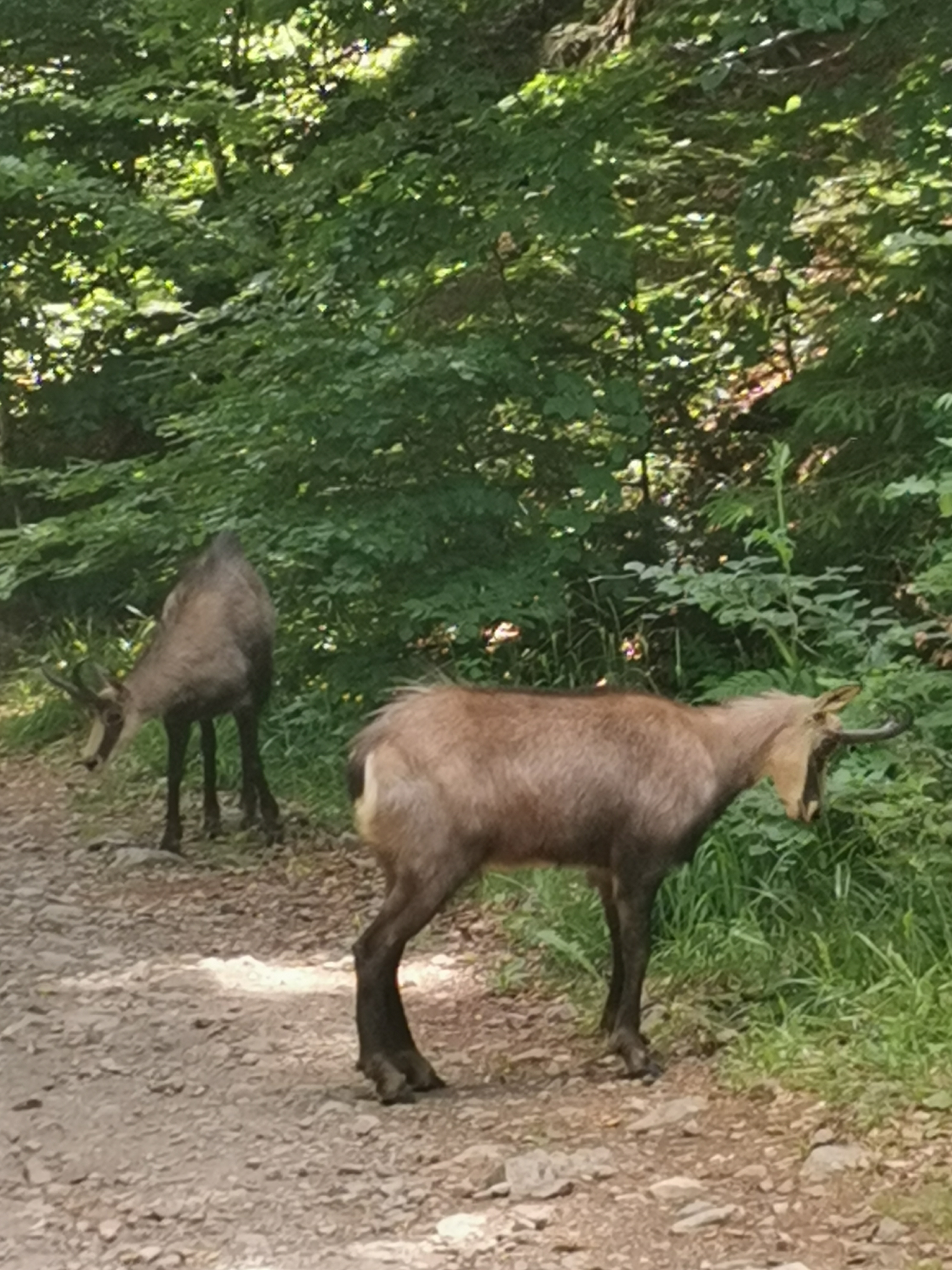 Photo n° 3 de l'avis de Hélène.u fait le 18/06/2022 à 16:20