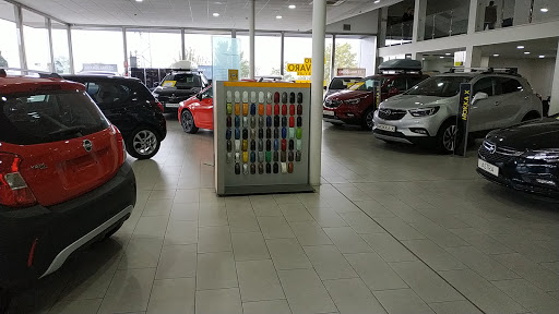 Autiberia Opel