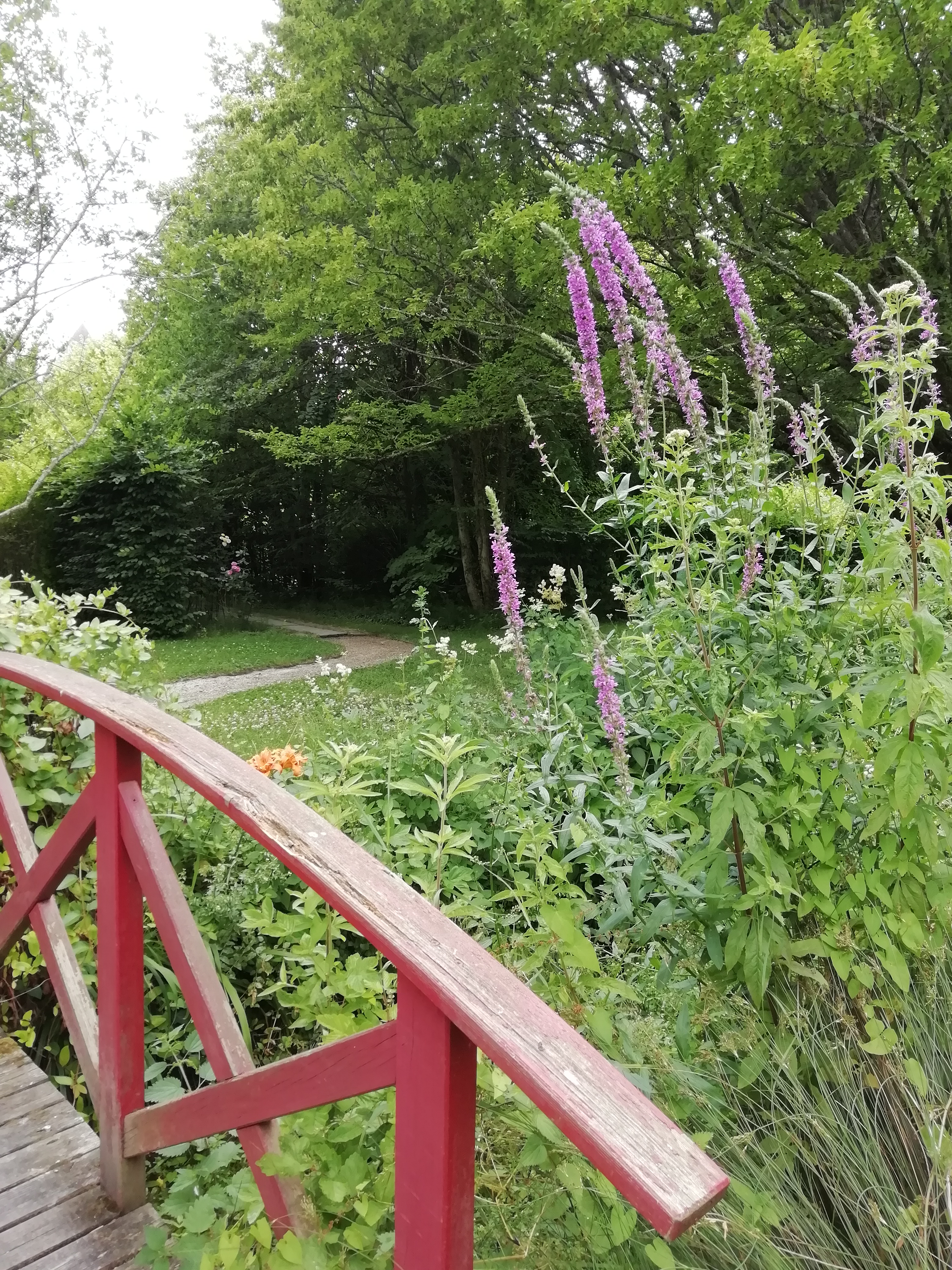 Photo n° 1 de l'avis de Marie-Claude.a fait le 16/07/2019 à 04:47