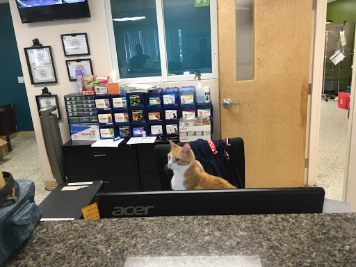 Humane Society of Manatee County image