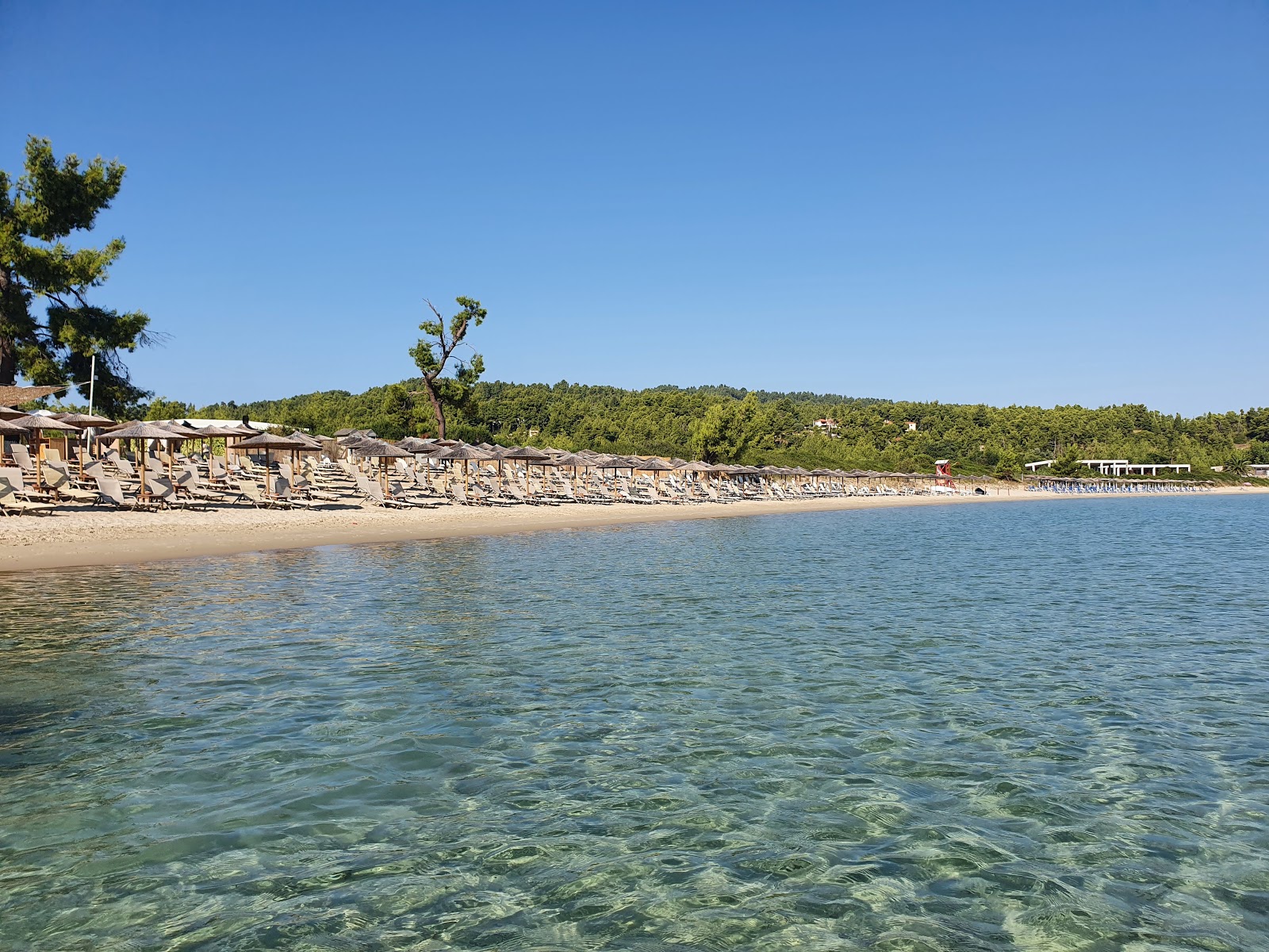 Photo de Paliouri beach avec baie longue