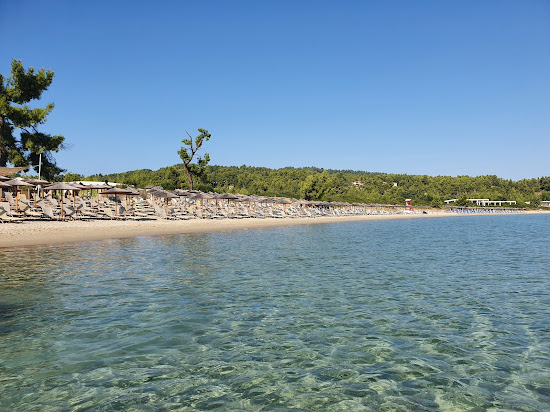Paliouri beach