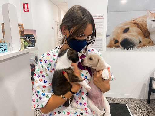 Clínica Veterinaria La Feria en Elda