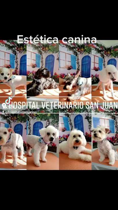 Hospital Veterinario San Juan