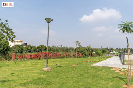 Google Maps image 15