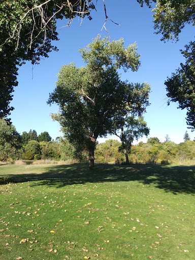 Golf Course «Campus Commons Golf Course», reviews and photos, 2 Cadillac Dr, Sacramento, CA 95825, USA
