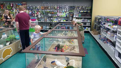 Dog Breeder «Petland Dunwoody», reviews and photos, 4733 Ashford Dunwoody Rd NE, Dunwoody, GA 30338, USA