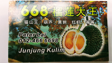 Durian King Junjong - 668 榴莲大王