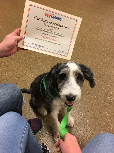 Pet Supply Store «PetSmart», reviews and photos, 916 Loganville Hwy, Bethlehem, GA 30620, USA