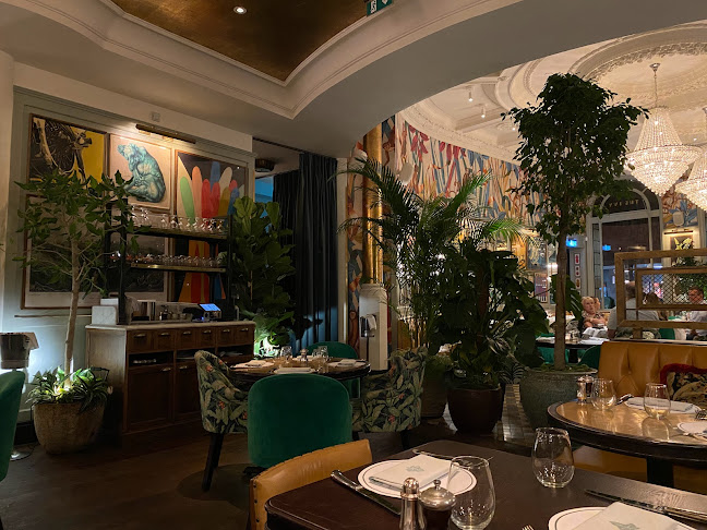 Reviews of The Ivy Norwich Brasserie in Norwich - Restaurant