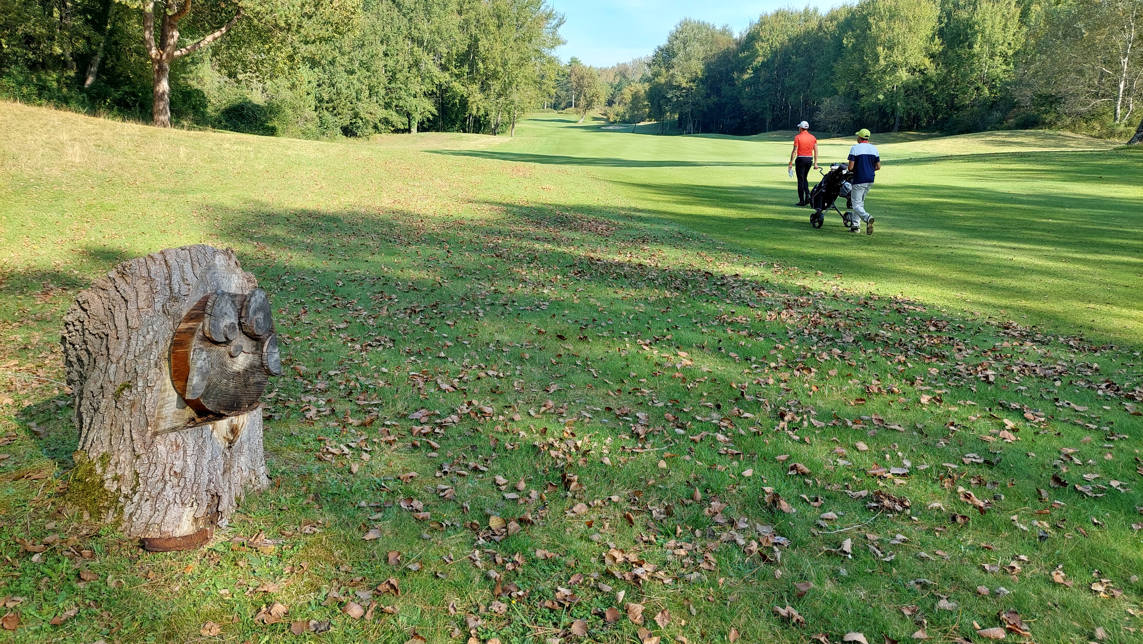 Photo n° 3 de l'avis de Nicolas. fait le 14/10/2021 à 11:51