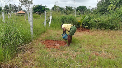 Google Maps image 29