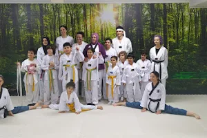 Doğuş Spor Akademi (Taekwondo, Kickboks, Muay Thai , Aikido, Boks, Jimnastik, WingChun, Yoga) image