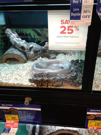 Pet Supply Store «PetSmart», reviews and photos, 601 Centerview Blvd, Kissimmee, FL 34741, USA
