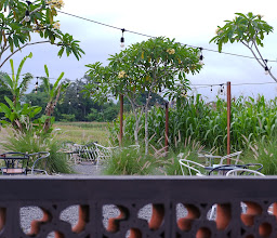 Ivy Coffee photo